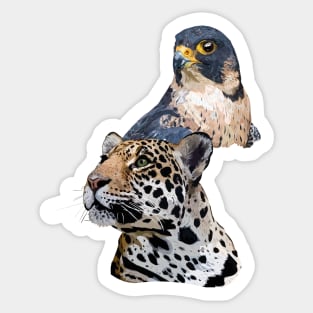 Peregrine Falcon and Jaguar Sticker